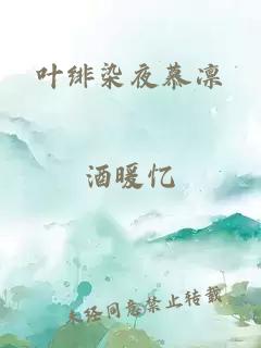 叶绯染夜慕凛