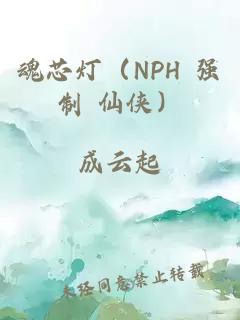 魂芯灯（NPH 强制 仙侠）