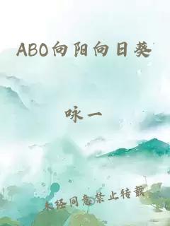 ABO向阳向日葵