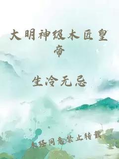 大明神级木匠皇帝