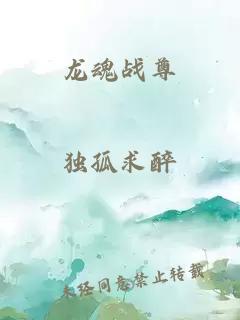 龙魂战尊