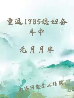 重返1985媳妇奋斗中